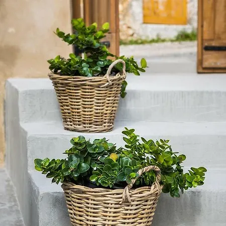 别墅 Daniela - Saint Nikolas Retreat *